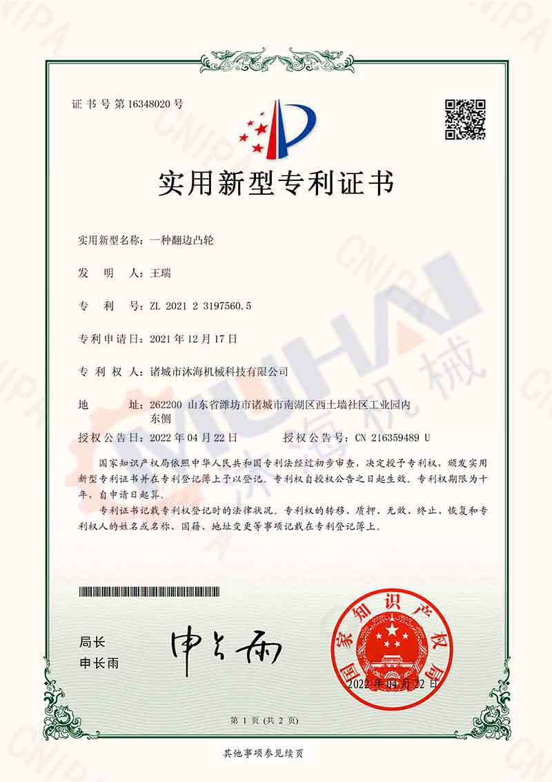 一種翹邊凸輪.jpg